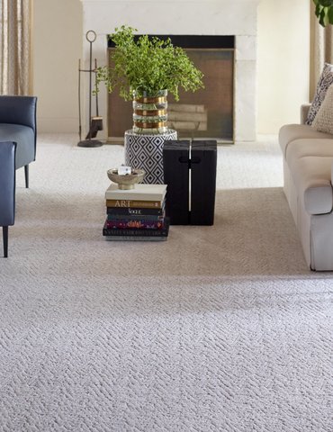 Living Room Pattern Carpet - CarpetsPlus of St. Louis in St. Louis, MO
